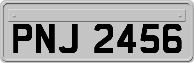 PNJ2456