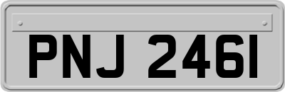 PNJ2461