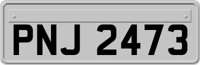 PNJ2473