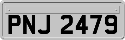 PNJ2479