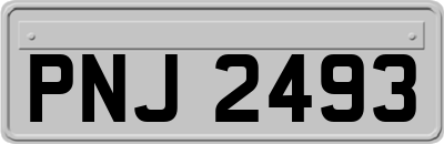 PNJ2493