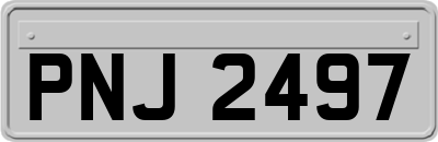 PNJ2497