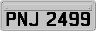 PNJ2499