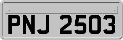 PNJ2503