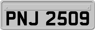 PNJ2509