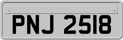 PNJ2518