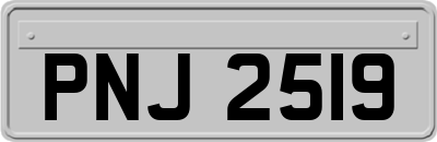 PNJ2519