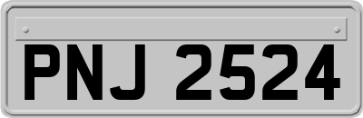 PNJ2524