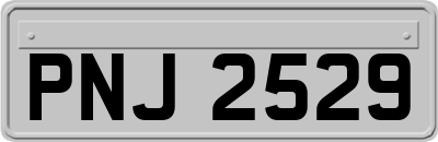 PNJ2529