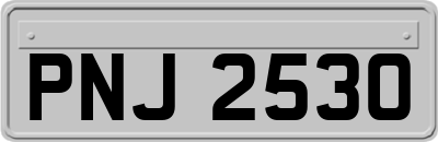 PNJ2530