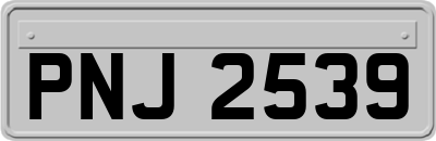 PNJ2539