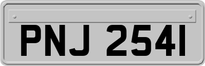 PNJ2541