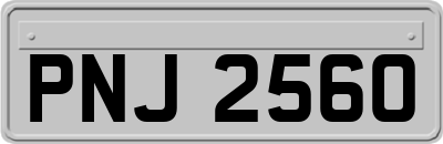 PNJ2560