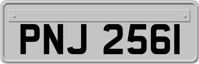 PNJ2561