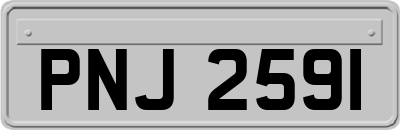 PNJ2591