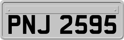 PNJ2595