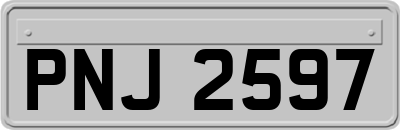 PNJ2597