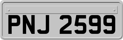 PNJ2599