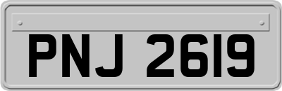 PNJ2619