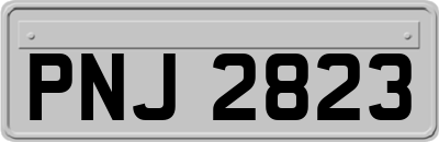 PNJ2823