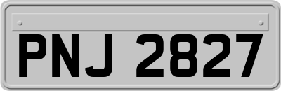 PNJ2827