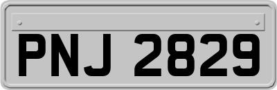 PNJ2829