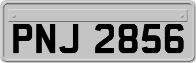 PNJ2856