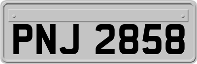 PNJ2858