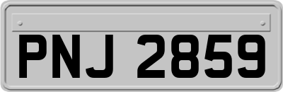 PNJ2859