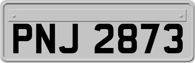 PNJ2873