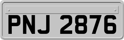 PNJ2876