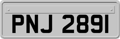 PNJ2891