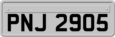 PNJ2905