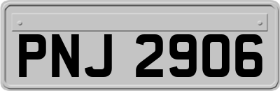PNJ2906