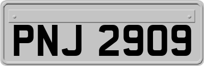 PNJ2909