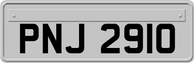 PNJ2910
