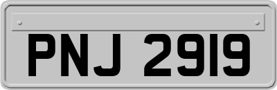 PNJ2919