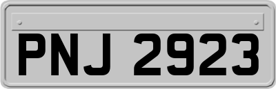 PNJ2923