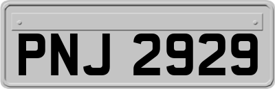 PNJ2929