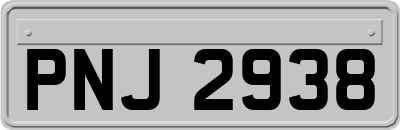PNJ2938