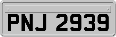 PNJ2939