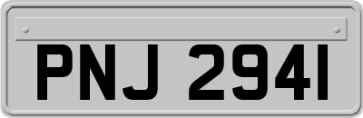 PNJ2941