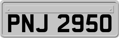 PNJ2950