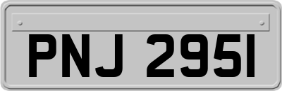 PNJ2951