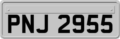 PNJ2955