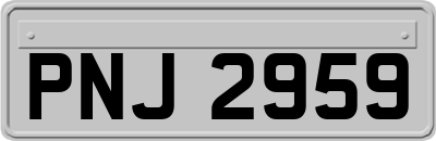 PNJ2959