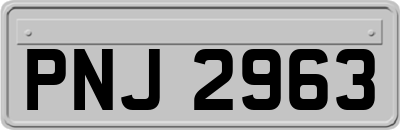 PNJ2963
