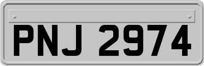 PNJ2974