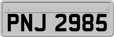 PNJ2985