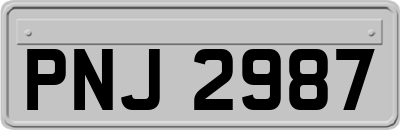 PNJ2987